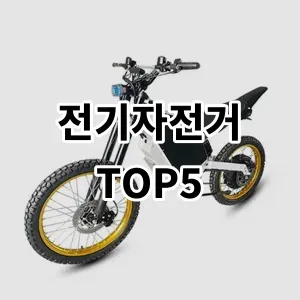 2024 전기자전거 추천 Top5