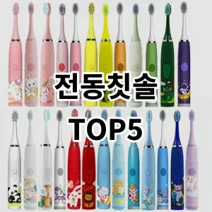 2024 전동칫솔 추천 Top5