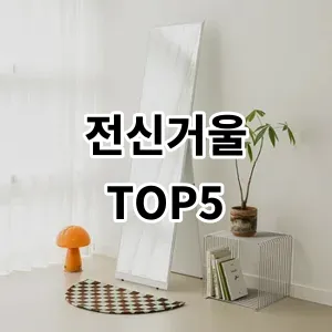 2024 전신거울 추천 Top5