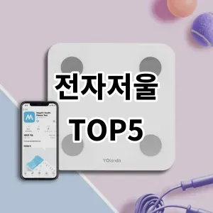 2024 전자저울 추천 Top5