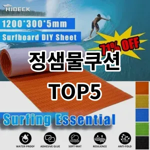 2024 정샘물쿠션 추천 Top5