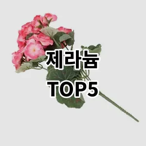 2024 제라늄 추천 Top5