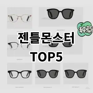 2024 젠틀몬스터 추천 Top5