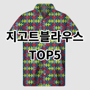 2024 지고트블라우스 추천 Top5