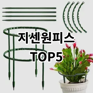 2024 지센원피스 추천 Top5