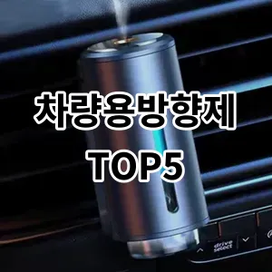 2024 차량용방향제 추천 Top5