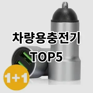 2024 차량용충전기 추천 Top5