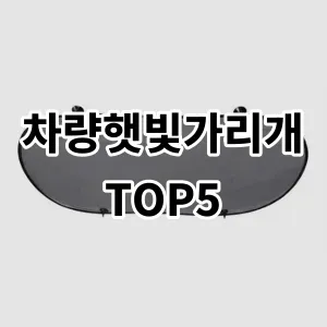 2024 차량햇빛가리개 추천 Top5