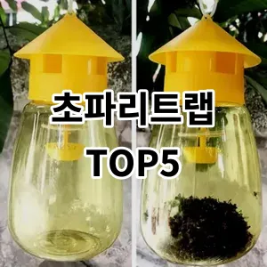 2024 초파리트랩 추천 Top5