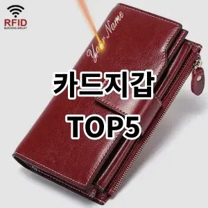 2024 카드지갑 추천 Top5