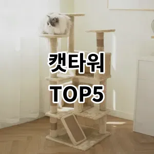 2024 캣타워 추천 Top5