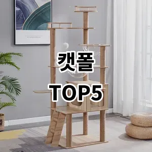 2024 캣폴 추천 Top5