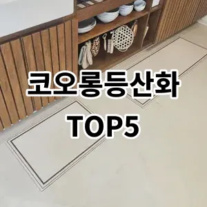 2024 코오롱등산화 추천 Top5