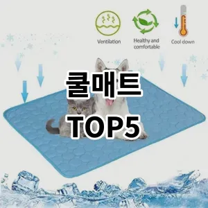 2024 쿨매트 추천 Top5