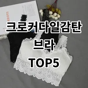 2024 크로커다일감탄브라 추천 Top5