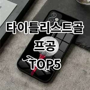 2024 타이틀리스트골프공 추천 Top5