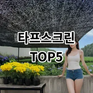 2024 타프스크린 추천 Top5