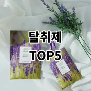 2024 탈취제 추천 Top5