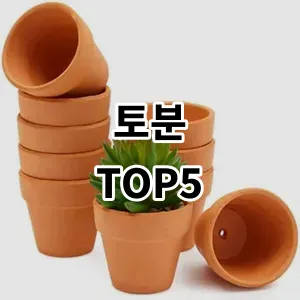 2024 토분 추천 Top5