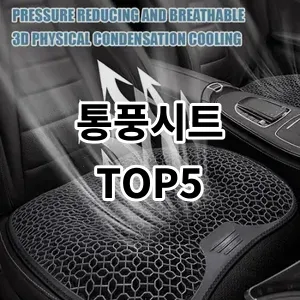 2024 통풍시트 추천 Top5