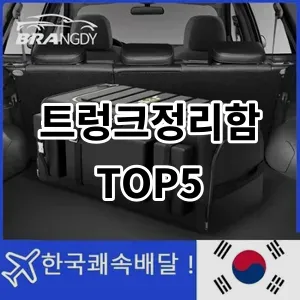 2024 트렁크정리함 추천 Top5