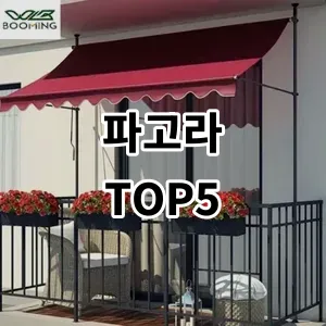 2024 파고라 추천 Top5