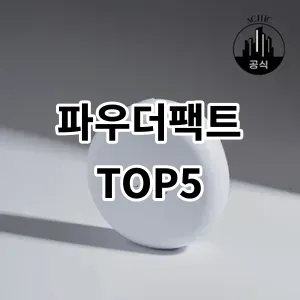 2024 파우더팩트 추천 Top5