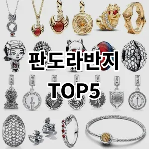 2024 판도라반지 추천 Top5