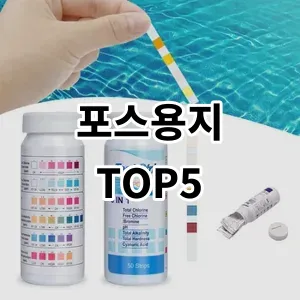 2024 포스용지 추천 Top5