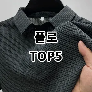 2024 폴로 추천 Top5