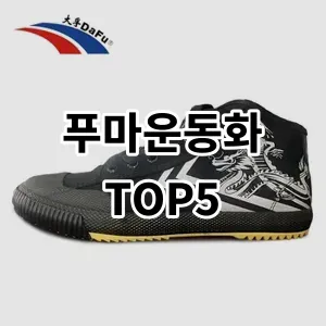 2024 푸마운동화 추천 Top5