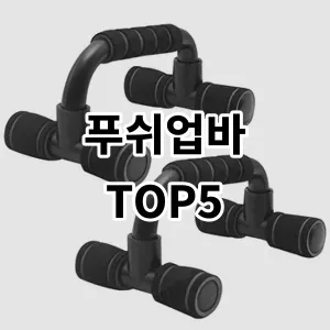 2024 푸쉬업바 추천 Top5