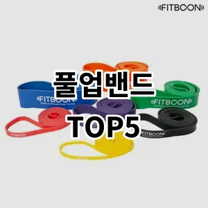 2024 풀업밴드 추천 Top5