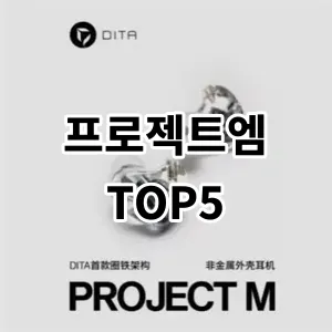 2024 프로젝트엠 추천 Top5