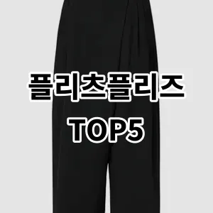 2024 플리츠플리즈 추천 Top5