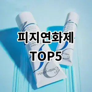 2024 피지연화제 추천 Top5