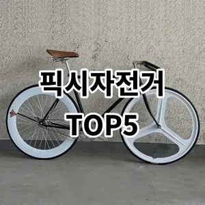 2024 픽시자전거 추천 Top5