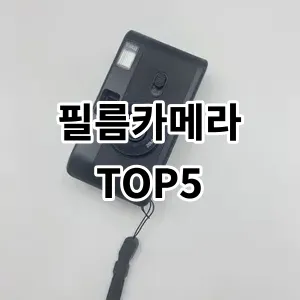 2024 필름카메라 추천 Top5