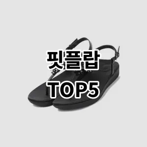 2024 핏플랍 추천 Top5