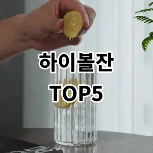 2024 하이볼잔 추천 Top5