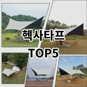 2024 헥사타프 추천 Top5