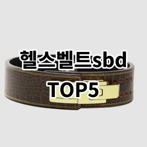 2024 헬스벨트sbd 추천 Top5