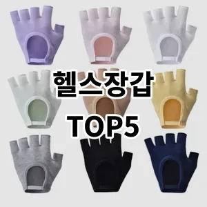 2024 헬스장갑 추천 Top5