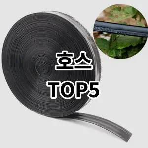 2024 호스 추천 Top5