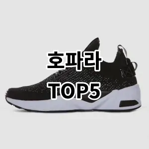 2024 호파라 추천 Top5