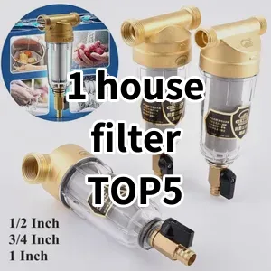 2024 Top5 Cost Effective 1 house filter