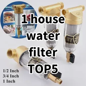 2024 Top5 Cost Effective 1 house water filter