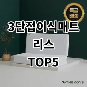 2024 3단접이식매트리스 추천 Top5