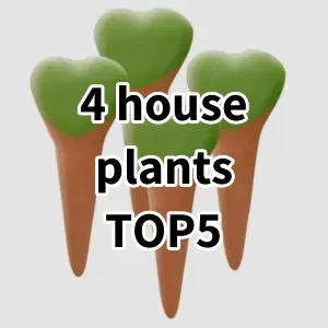 2024 Top5 Cost Effective 4 house plants