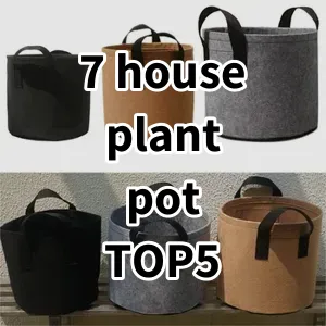 2024 Top5 Cost Effective 7 house plant pot